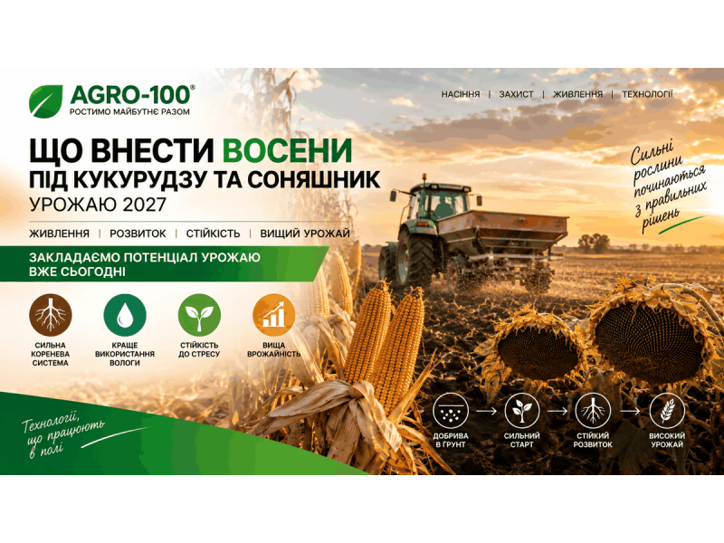 Що внести восени під кукурудзу та соняшник урожаю 2027