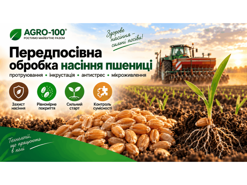 Передпосівна обробка насіння озимої пшениці: протруйник, сумісність і контроль якості