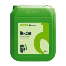 Гербіцид Лендінг