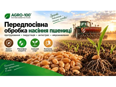 Передпосівна обробка насіння озимої пшениці: протруйник, сумісність і контроль якості
