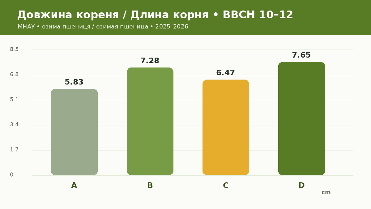 Довжина головного кореня озимої пшениці з ВітаСтар PK+S і СолоАктив у досліді МНАУ