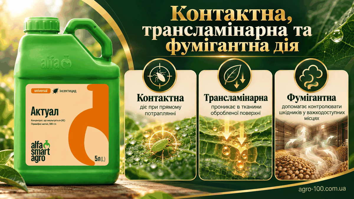 Актуал — огірки та томати закритого ґрунту