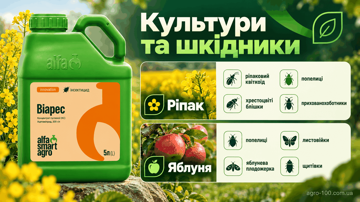 Віарес — захист ріпаку та яблуні від квіткоїда, прихованохоботників, попелиць, плодожерки й щитівок