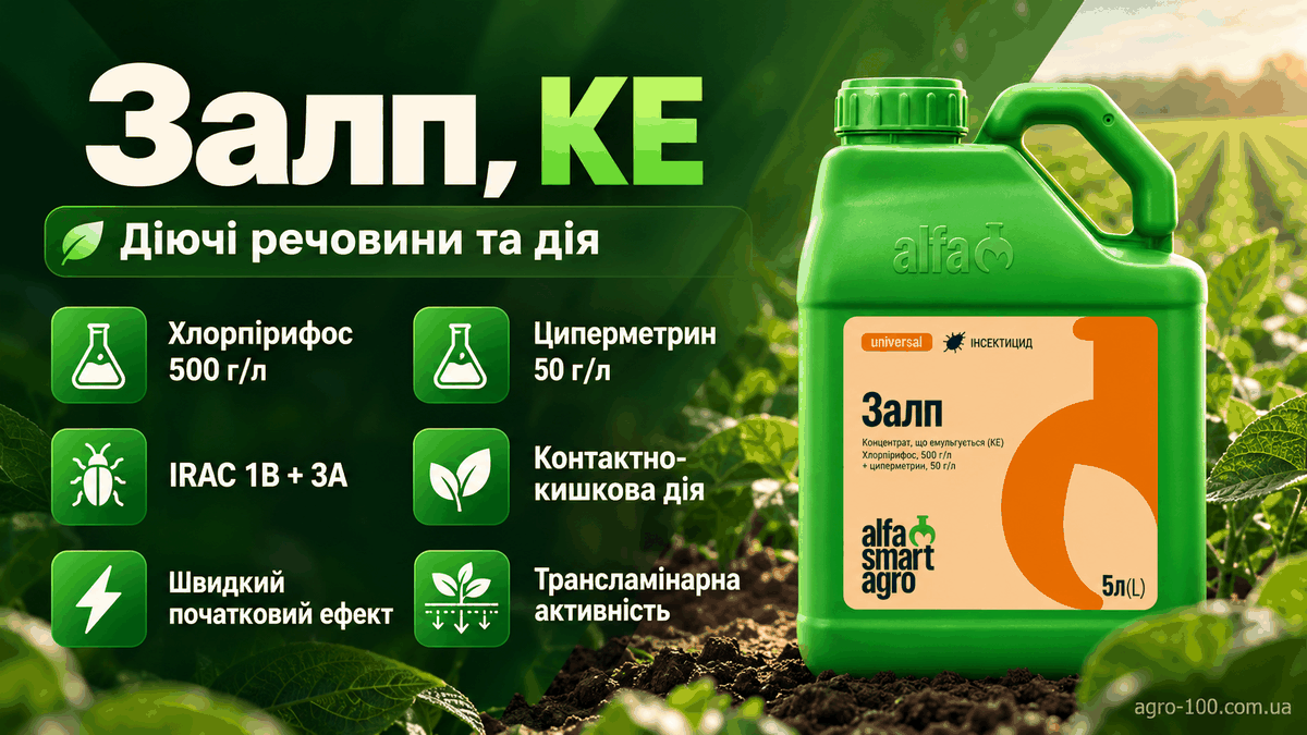 Залп КЕ — хлорпірифос 500 г/л та циперметрин 50 г/л, IRAC 1B + 3A