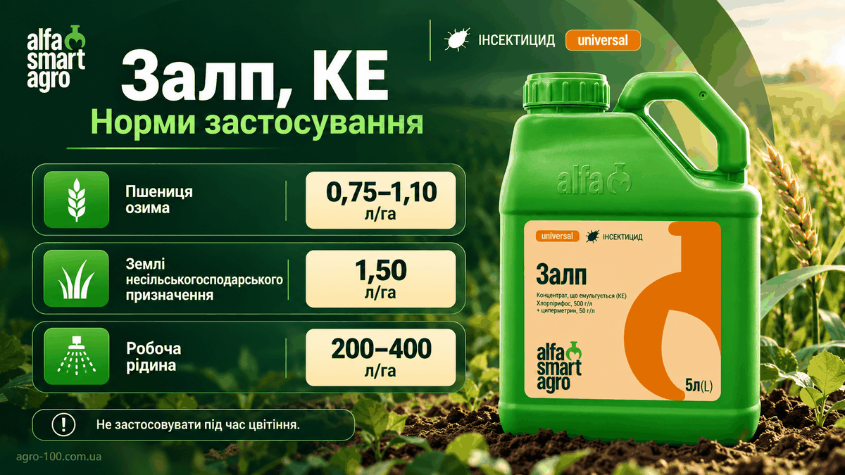 Залп КЕ — норми застосування для озимої пшениці та витрата робочої рідини