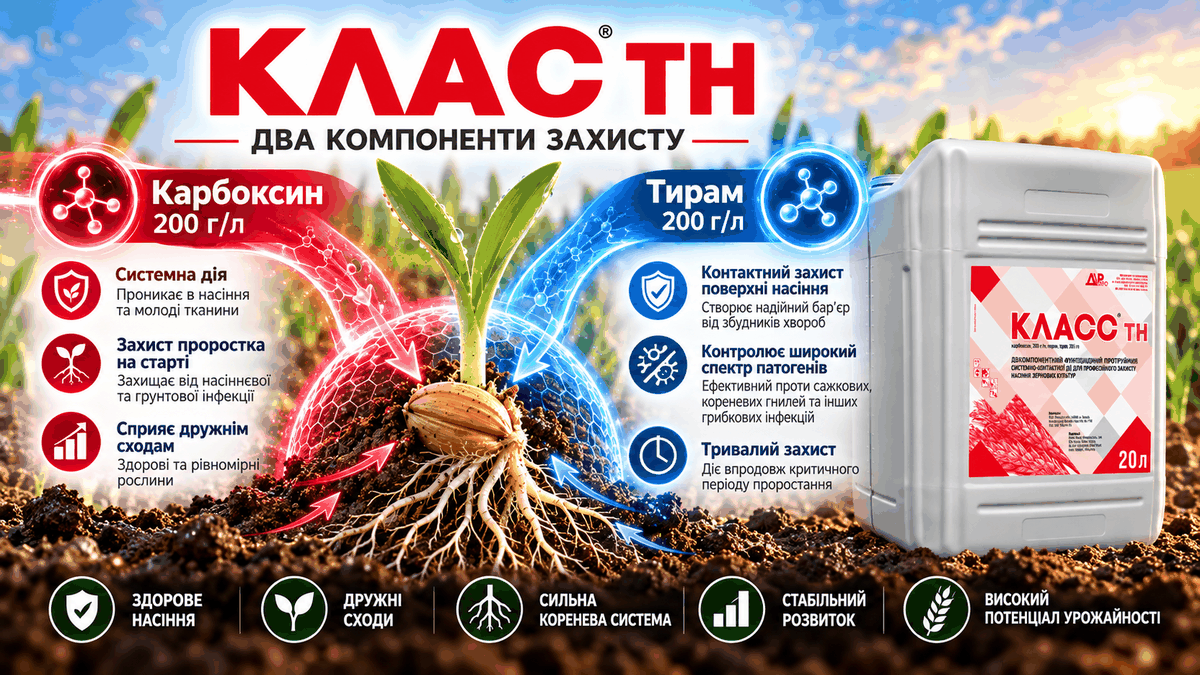 Клас ТН: механізм дії та захист