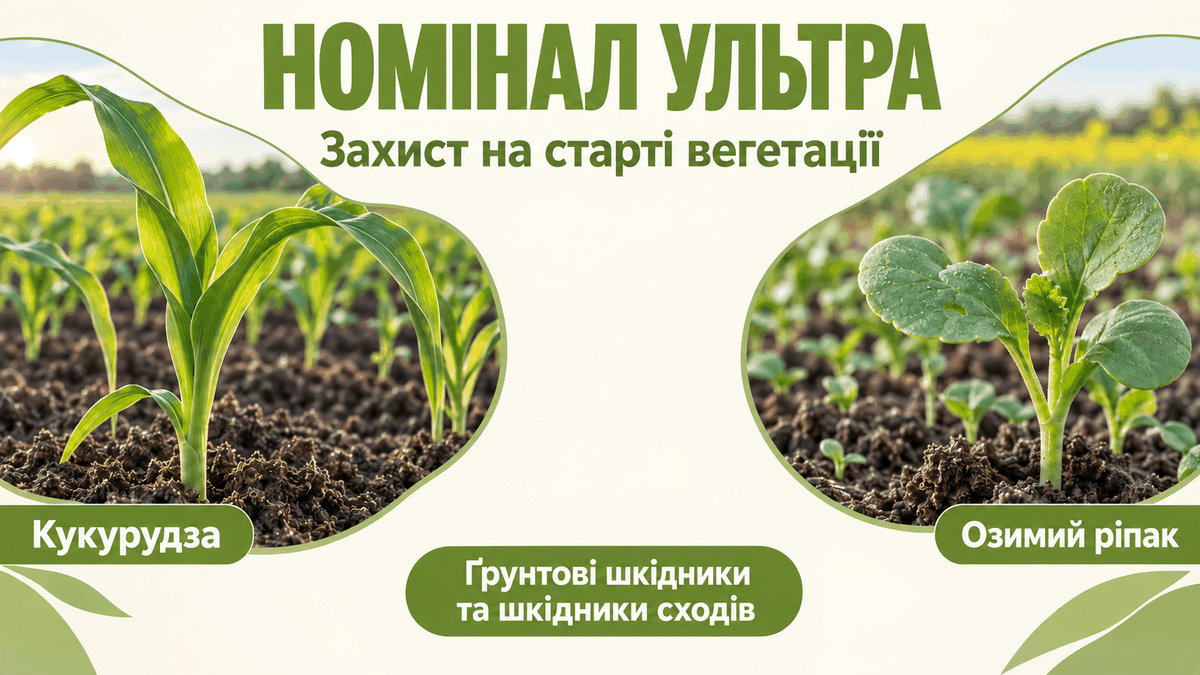 Номінал Ультра для захисту кукурудзи та озимого ріпаку на старті