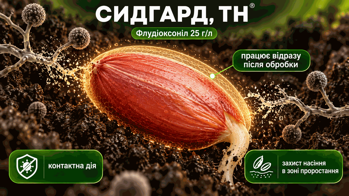 Сидгард ТН: механізм дії флудіоксонілу