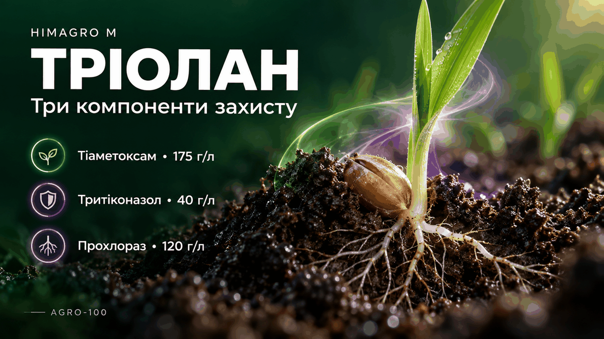 Тріолан: тіаметоксам 175 г/л, тритіконазол 40 г/л і прохлораз 120 г/л