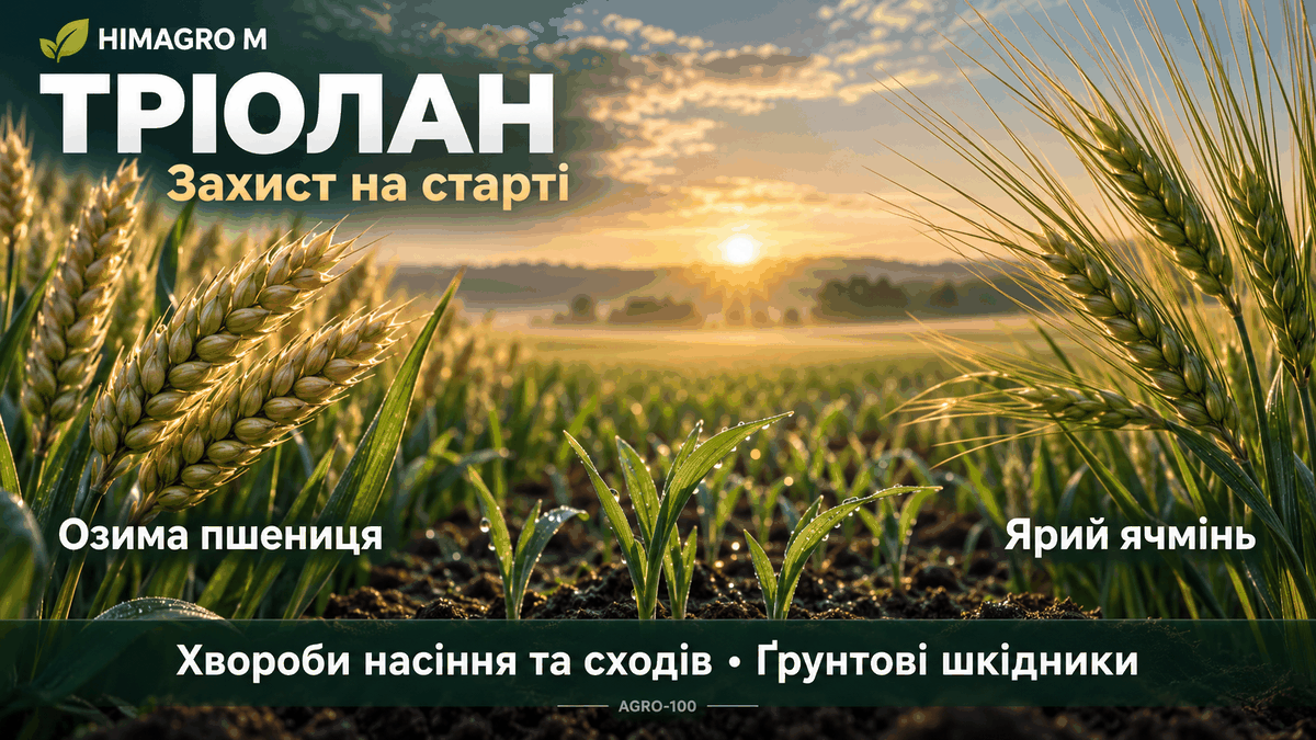 Тріолан для озимої пшениці та ярого ячменю: захист від хвороб насіння, сходів і ґрунтових шкідників