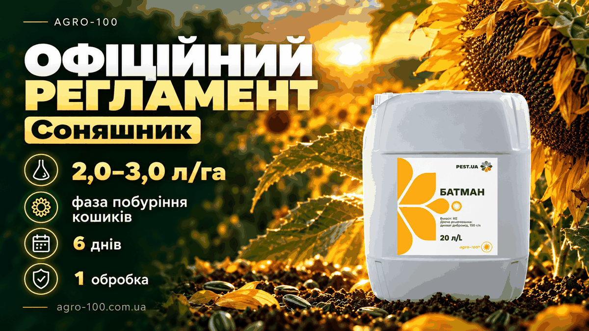 Офіційний регламент застосування десиканту Батман на соняшнику