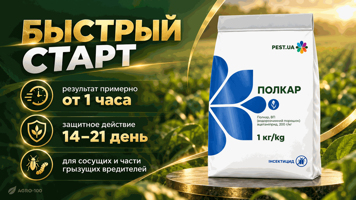 Полкар, ВП — быстрый старт действия и защита 14–21 день