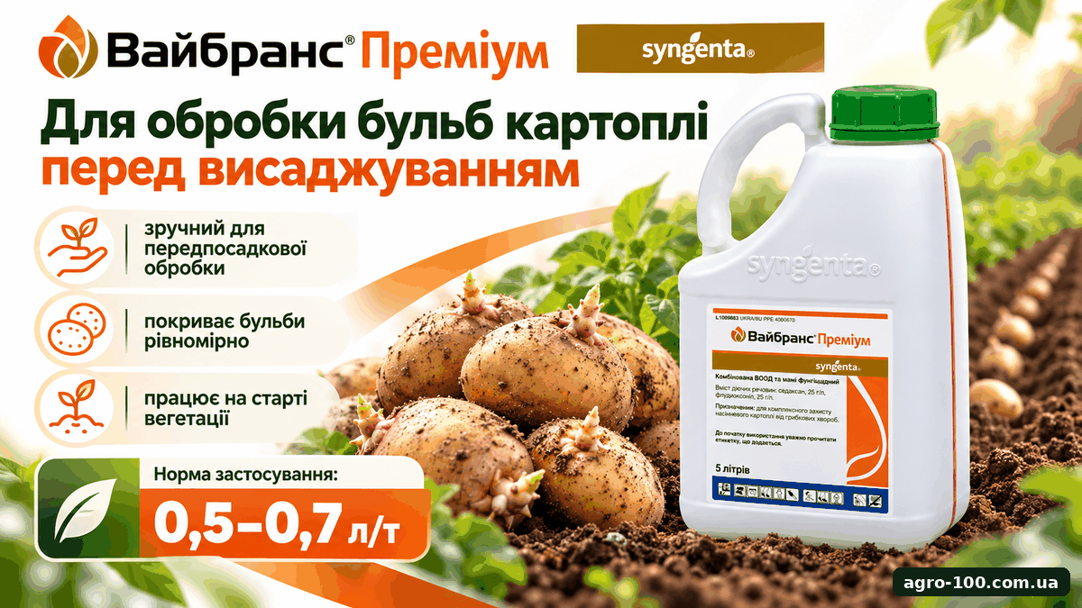 Вайбранс Преміум — офіційний спектр для картоплі: ризоктоніоз, фузаріоз, альтернаріоз і парша